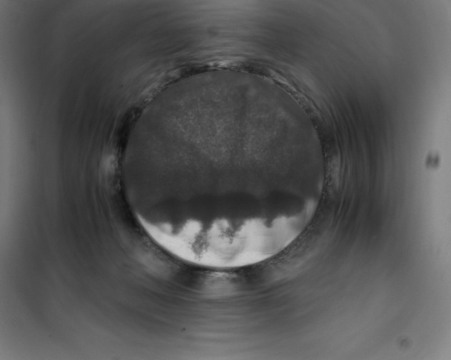 X0000100380222200807031933