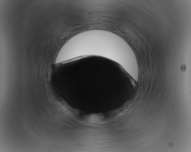 X0000100380223200807031933