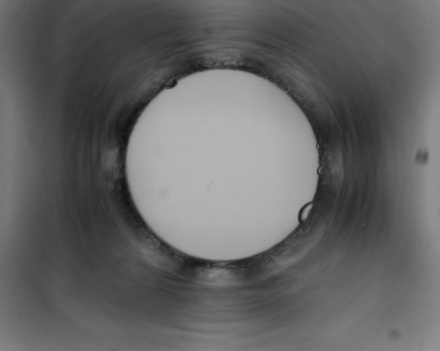 X0000100380224200807031933