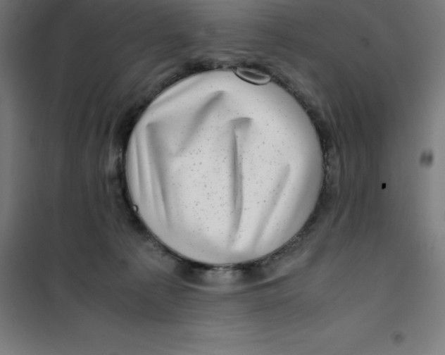 X0000100380225200807031933