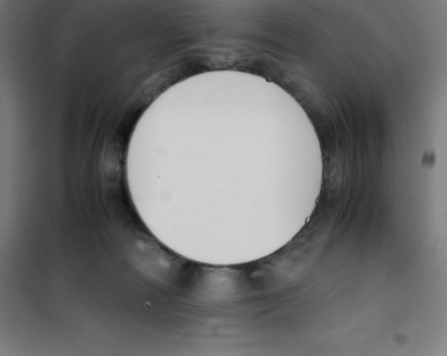 X0000100380226200807031933