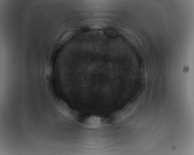 X0000100380227200807031933