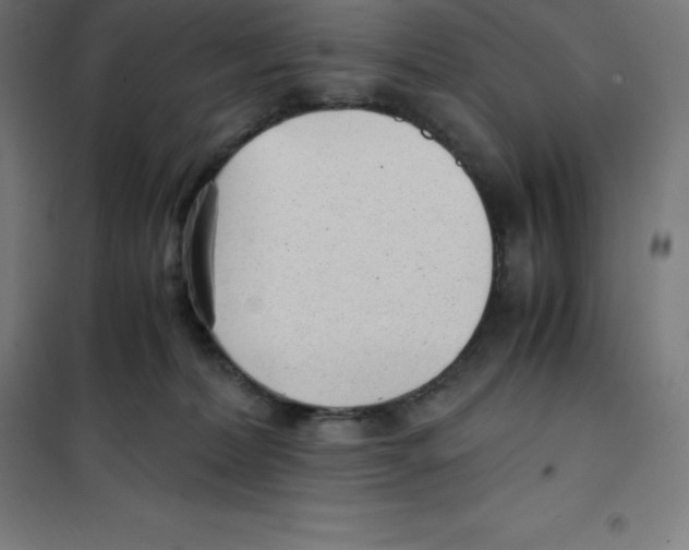 X0000100380228200807031933