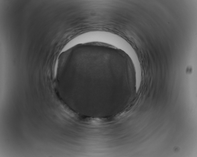 X0000100380229200807031933