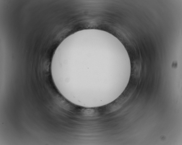 X0000100380230200807031933
