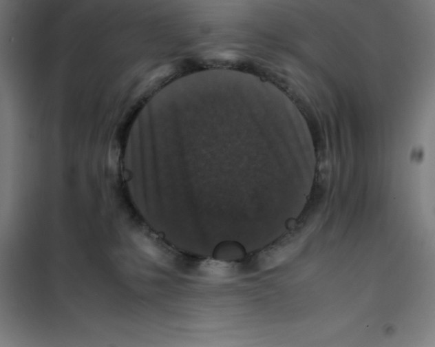X0000100380231200807031933