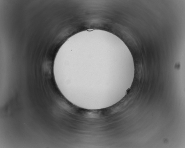 X0000100380232200807031933