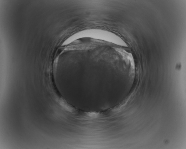 X0000100380233200807031933