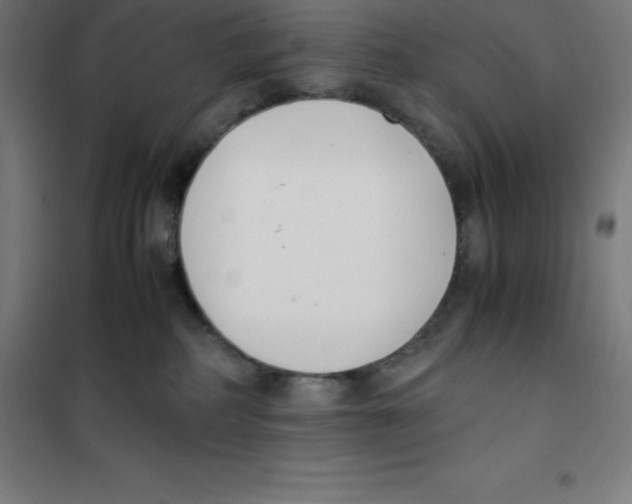X0000100380234200807031933