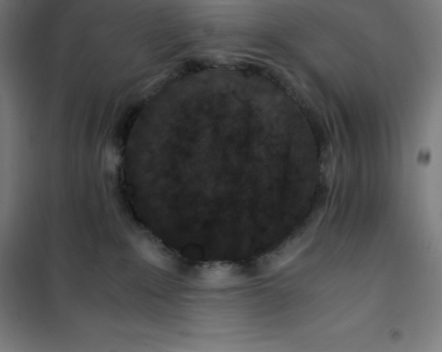 X0000100380235200807031933