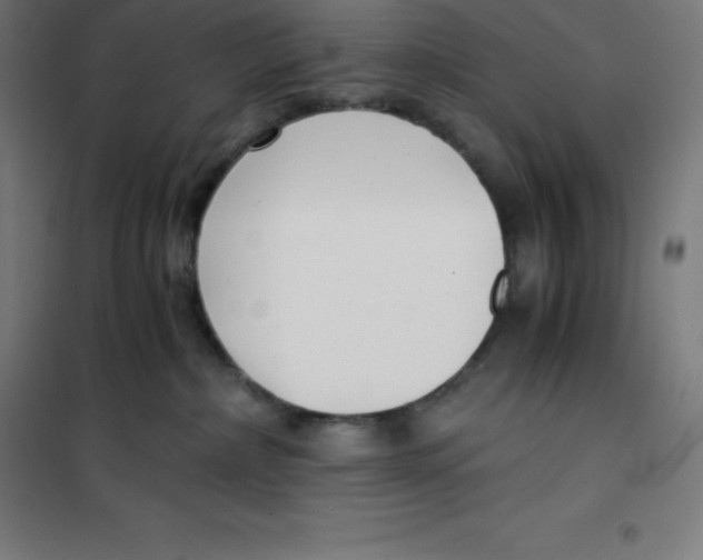 X0000100380236200807031933