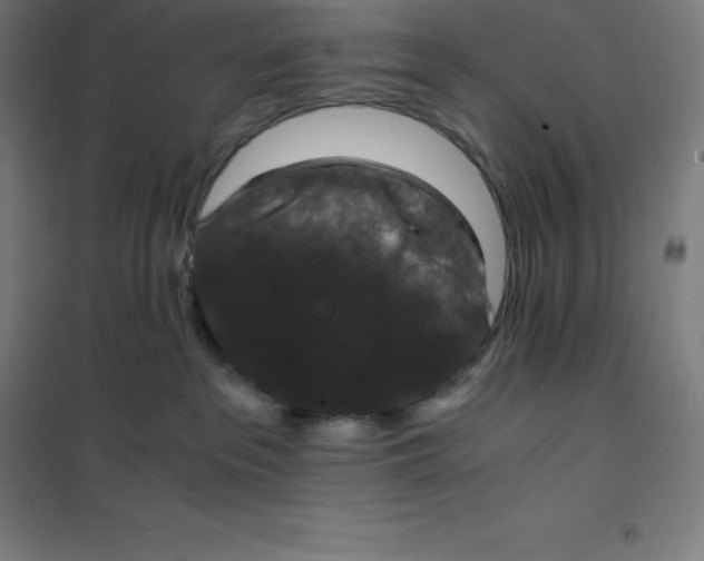 X0000100380237200807031932
