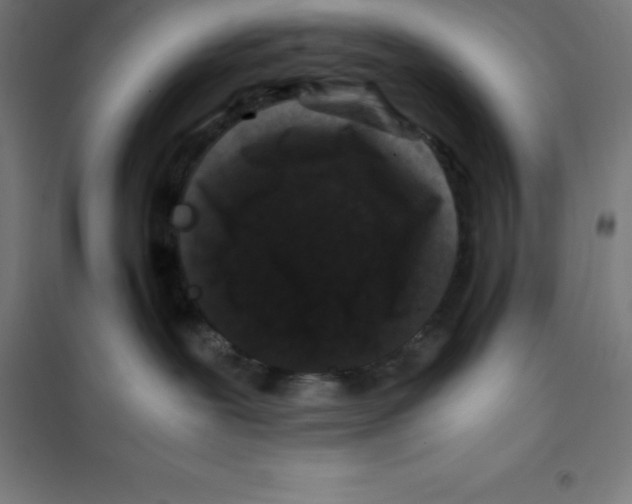 X0000100380239200807031932