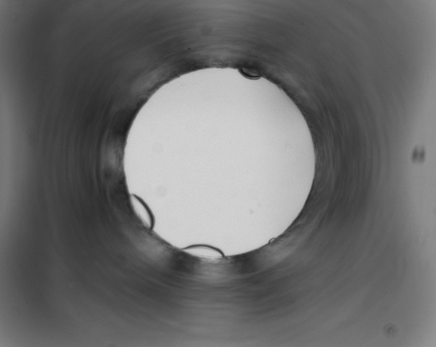 X0000100380240200807031932