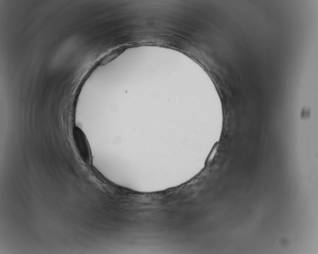 X0000100380241200807031932