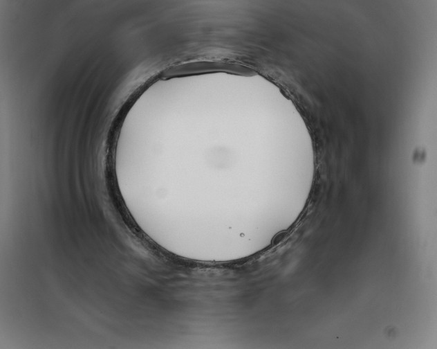 X0000100380242200807031932