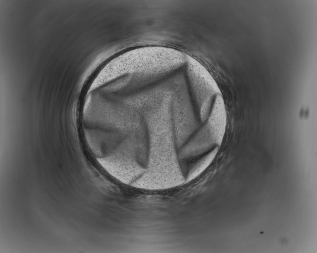 X0000100380244200807031932