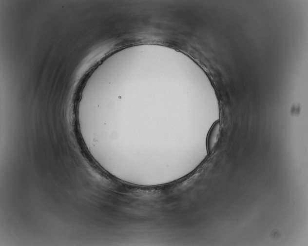 X0000100380245200807031932