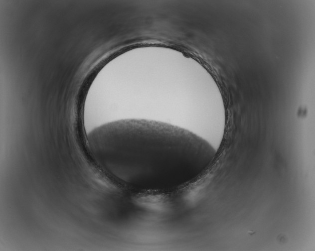 X0000100380247200807031932