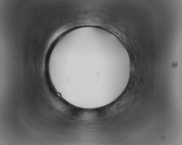 X0000100380248200807031932