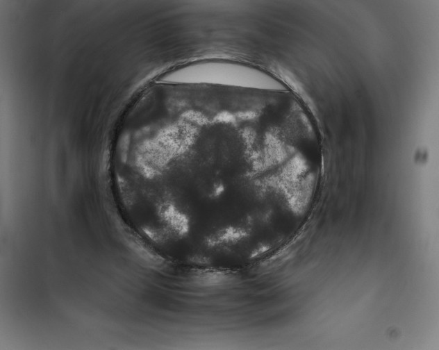 X0000100380249200807031932