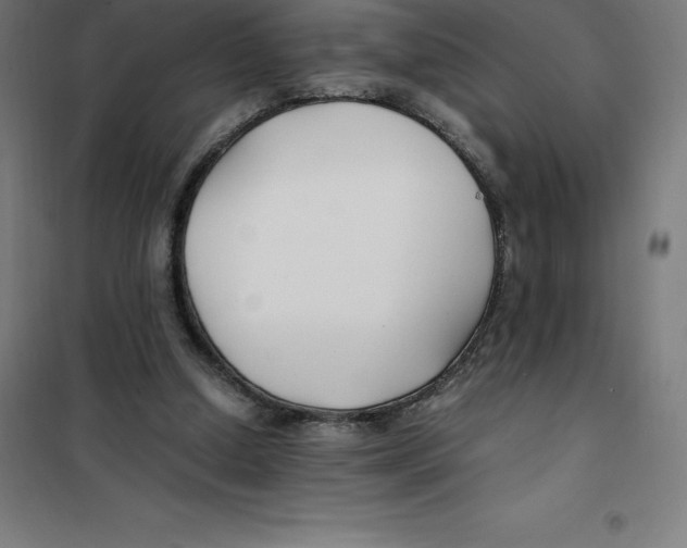 X0000100380250200807031932