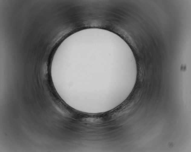 X0000100380251200807031932