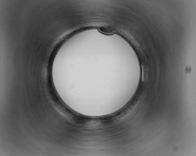 X0000100380252200807031932
