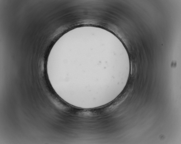 X0000100380253200807031932