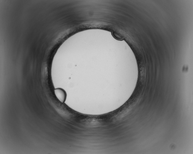 X0000100380254200807031932