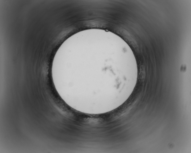 X0000100380255200807031932