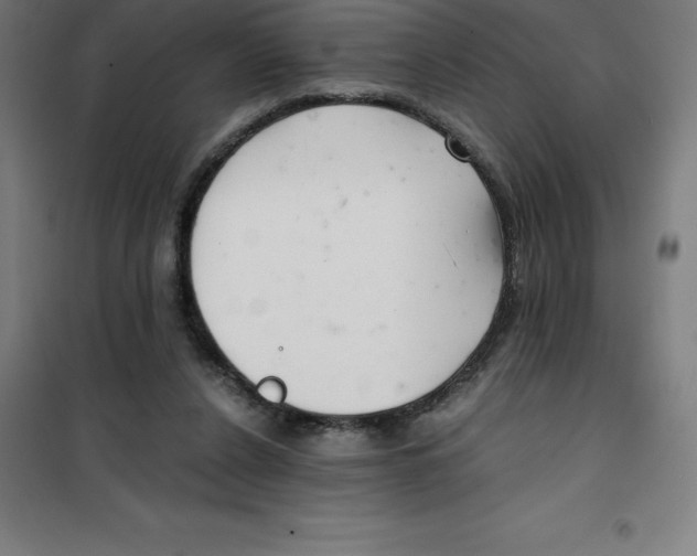 X0000100380256200807031932