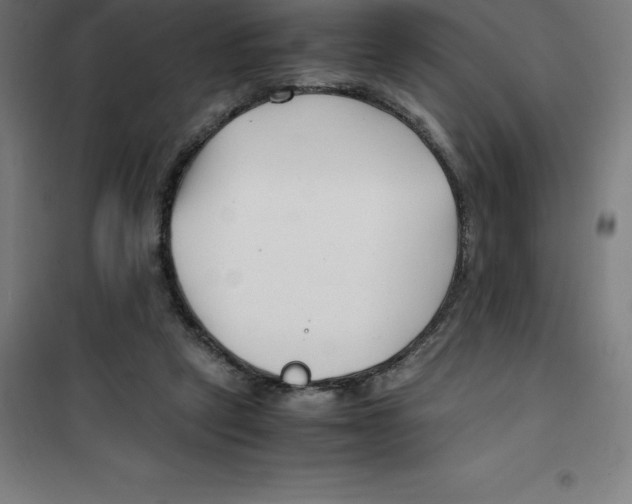 X0000100380257200807031932