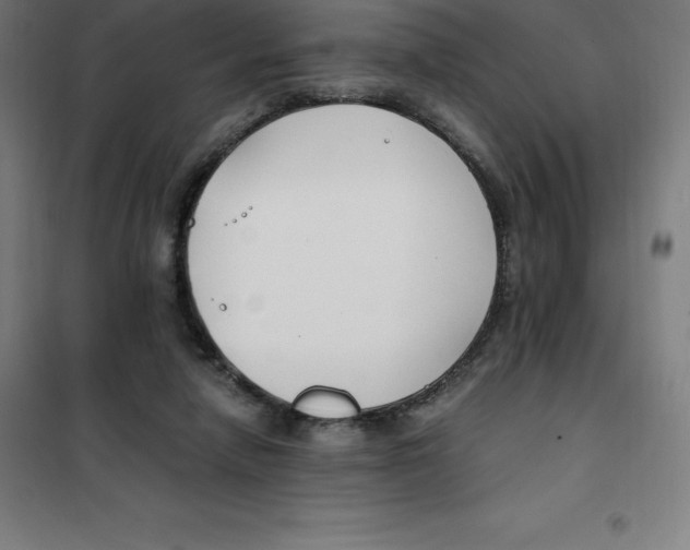X0000100380258200807031932