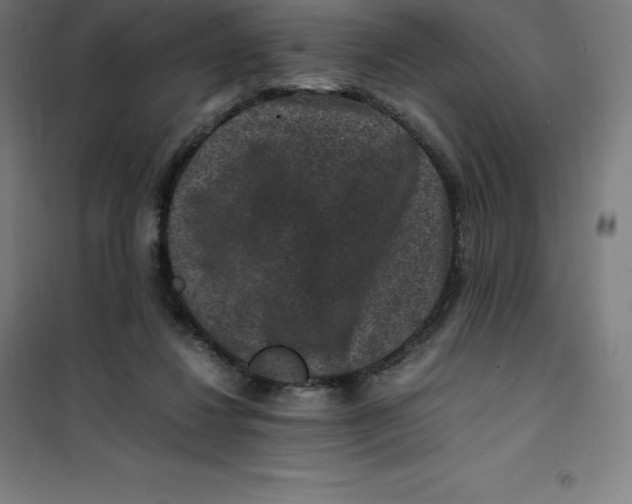 X0000100380260200807031932