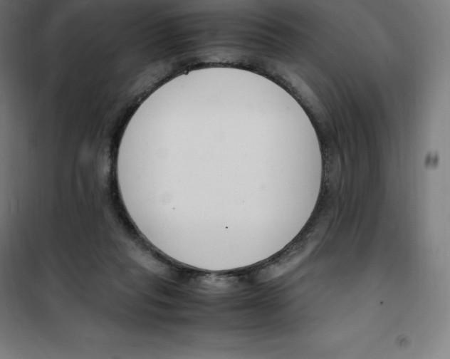 X0000100380261200807031932