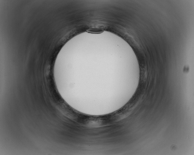 X0000100380263200807031932
