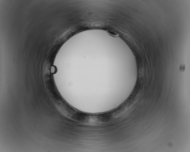 X0000100380264200807031932