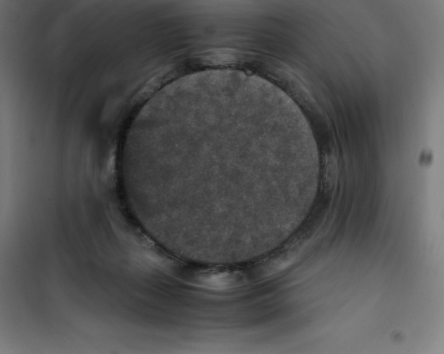 X0000100380267200807031932