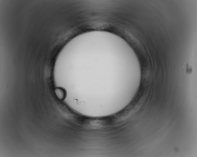 X0000100380268200807031932