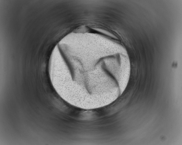 X0000100380269200807031932