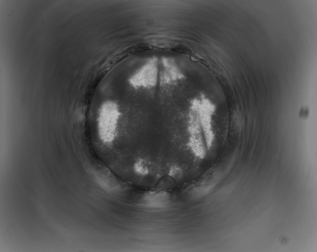 X0000100380271200807031932