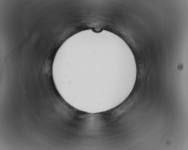 X0000100380273200807031932