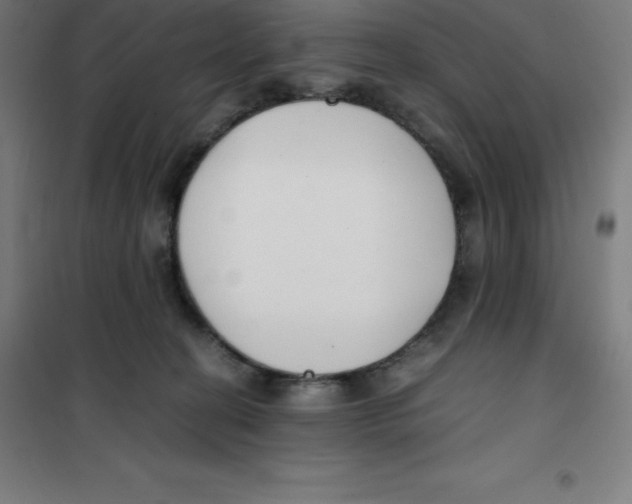 X0000100380274200807031932