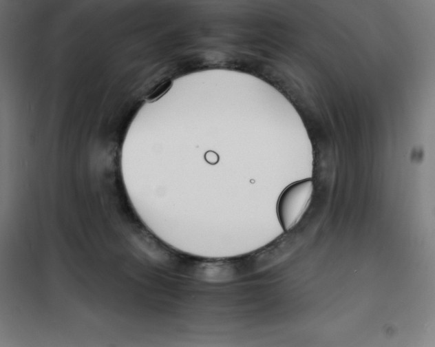 X0000100380275200807031932