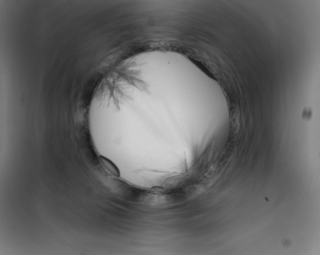 X0000100380276200807031932