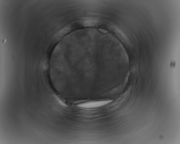 X0000100380277200807031932
