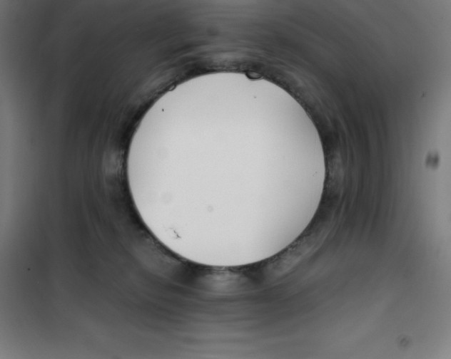X0000100380278200807031932