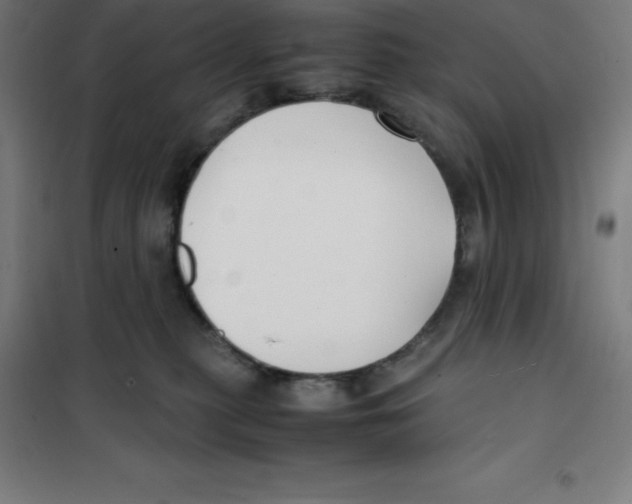 X0000100380279200807031932