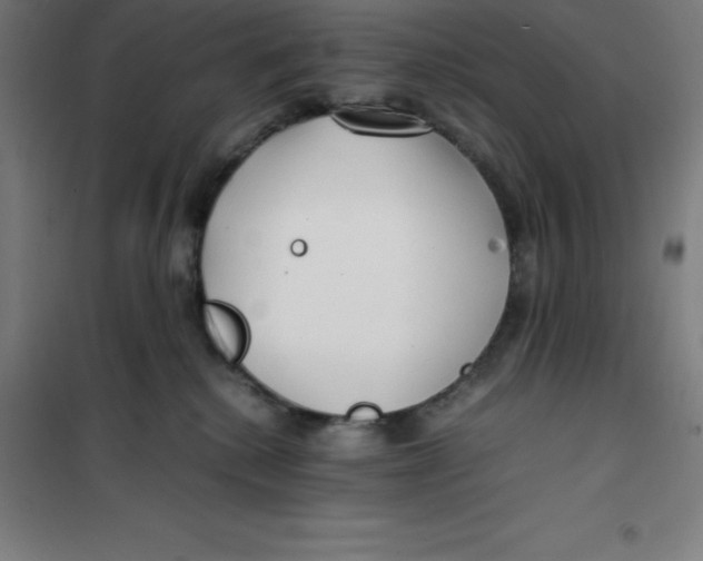 X0000100380280200807031932